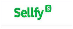 sellfy-best-ecommerce-platform